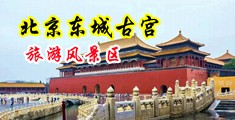 我想用大鸡巴操美女黄色网站视频中国北京-东城古宫旅游风景区